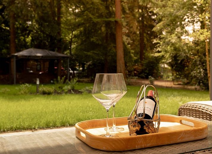 Cottage in Norg, ein charmantes Ferienhaus in Nord-Drenthe, umgeben von gruener Natur und mit einer einladenden Terrasse.