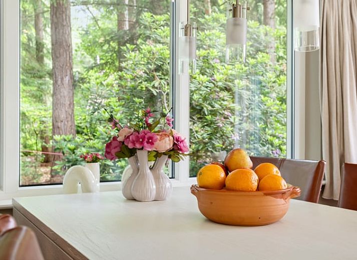Geniessen Sie einen entspannenden Moment auf der Terrasse von Huisje in Norg, einem Ferienhaus in der gruenen Umgebung von Norg, Nord-Drenthe.