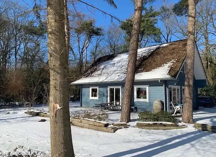 Verblijf 1809130 - Vakantiewoning Noord Drenthe - l'Oiseau Bleu (Z11 Norg)