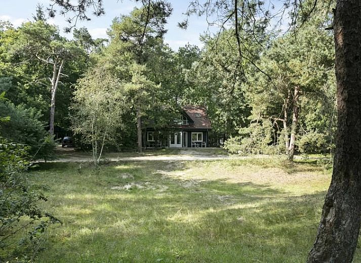 Vakantiehuisje in Norg, Noord Drenthe biedt een gezellig terras omringd door natuur.