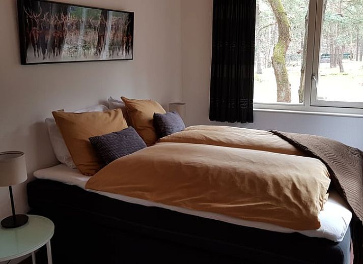 Charmant Vakantiehuisje in Norg, Drenthe met ruime veranda en groene omgeving.