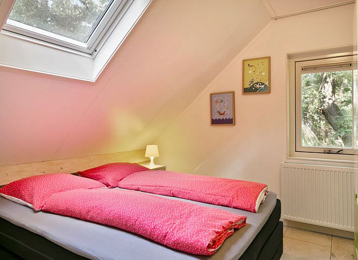 Vakantiehuisje in Norg, Noord Drenthe verscholen in het bosrijke landschap.