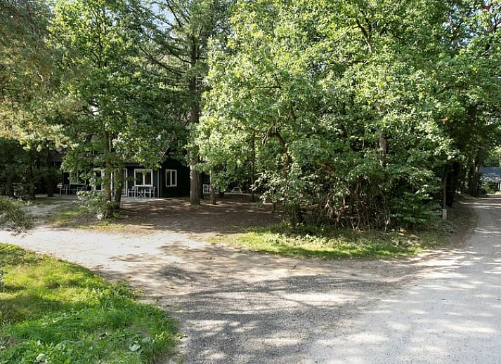 Eetkamer van Vakantiehuisje in Norg, Drenthe met moderne inrichting en uitzicht op de natuur.