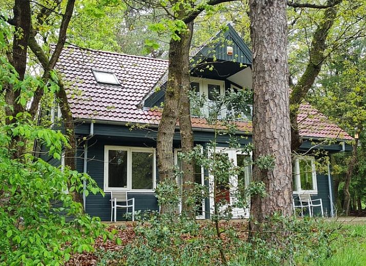 Eetkamer van Vakantiehuisje in Norg, Drenthe met moderne inrichting en uitzicht op de natuur.