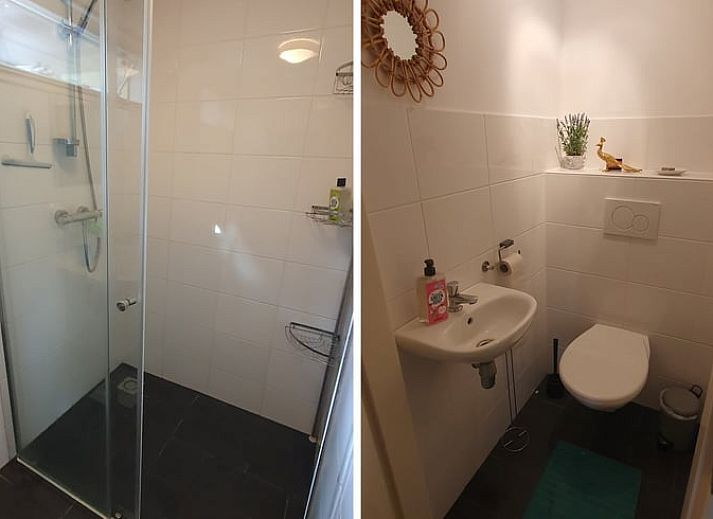 Entdecken Sie die ruhige, waldreiche Umgebung von Huisje in Norg, einem Ferienhaus in Norg, Nord-Drenthe, umgeben von schoener Natur.