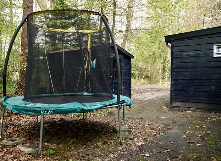 Gemuetlicher Innenbereich des Huisje in Norg, Ferienhaus in Nord-Drenthe, mit Kueche und Essbereich mit Blick auf die gruene Natur.