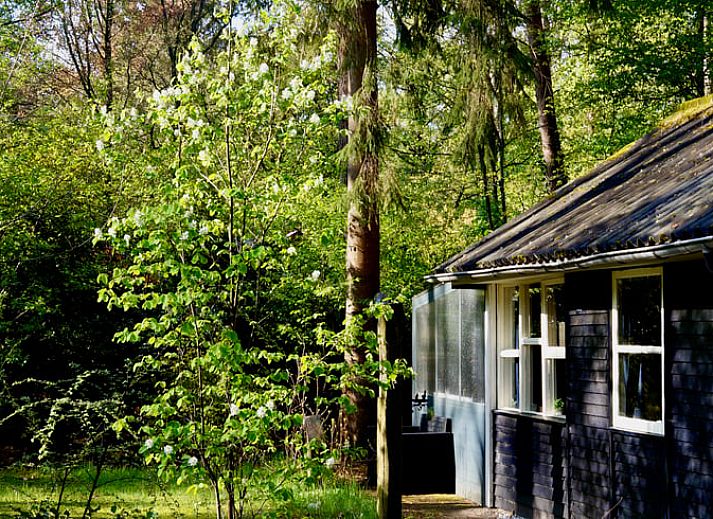 Moderne Kueche in Cottage in Norg, Ferienhaus in Norg, Nord-Drenthe. Stilvolle Einrichtung mit gruenen Akzenten und Kochgelegenheit.