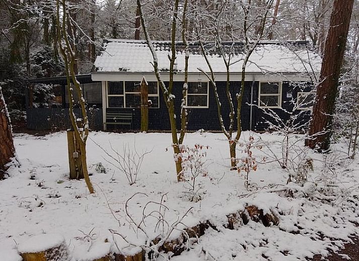 Moderne Kueche in Cottage in Norg, Ferienhaus in Norg, Nord-Drenthe. Stilvolle Einrichtung mit gruenen Akzenten und Kochgelegenheit.