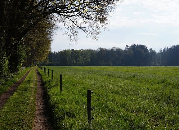 Moderne Kueche in Cottage in Norg, Ferienhaus in Norg, Nord-Drenthe. Stilvolle Einrichtung mit gruenen Akzenten und Kochgelegenheit.