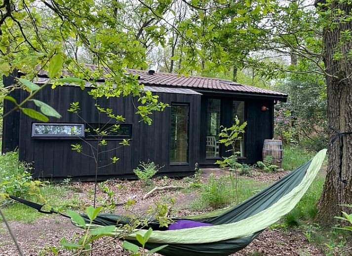 Huisje in Norg, een vakantiehuis in de groene bossen van Noord Drenthe, biedt een serene ontsnapping in de natuur.
