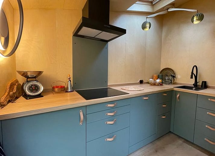 Ontdek de serene bosomgeving bij Huisje in Norg, een vakantiehuis in het groene hart van Noord Drenthe, Drenthe.