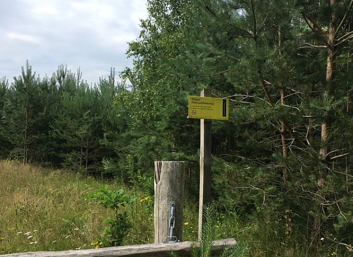 Ontspan in de natuur bij Huisje in Norg, een charmant vakantiehuis in Noord Drenthe, omgeven door groen en rustieke charme.
