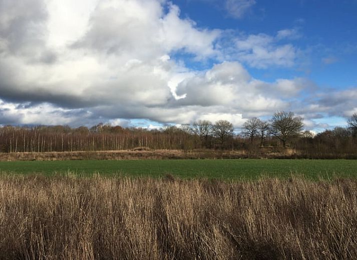 Huisje in Norg, vakantiehuis in Noord Drenthe, omgeven door groene natuur met terras en picknicktafel, perfect voor ontspanning.