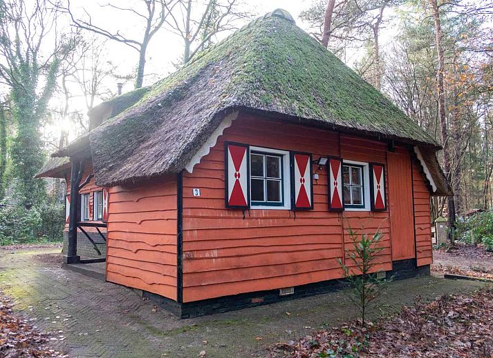 Charmantes Ferienhaus DG1404 in Norg, Nord-Drenthe mit Reetdach und Terrasse inmitten der Natur.
