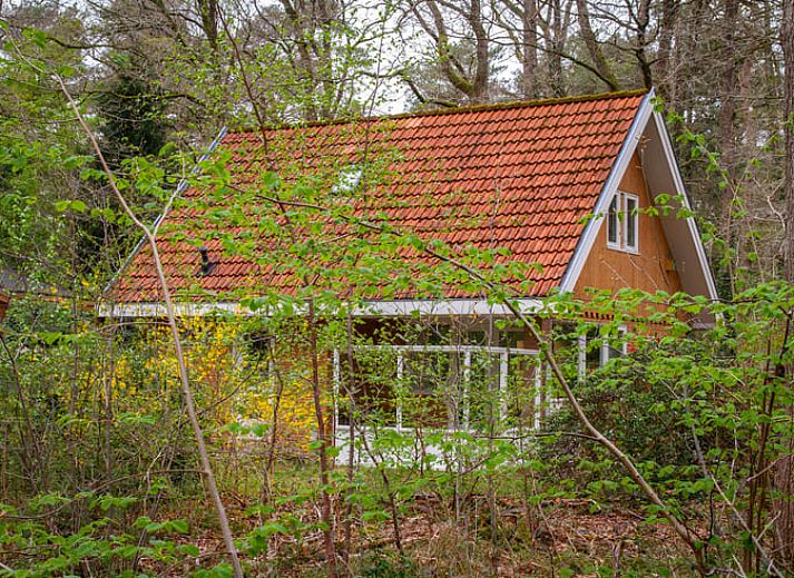Verblijf 180924 • Vakantiewoning Noord Drenthe • Huisje in Norg