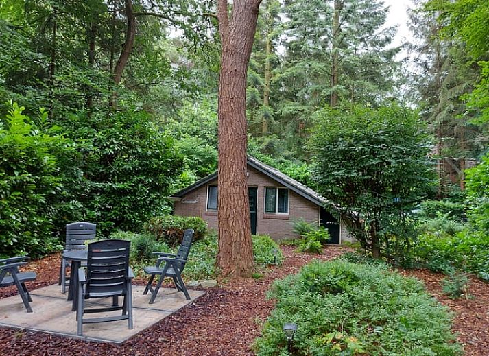 Guest house 180926 • Holiday property Noord Drenthe • Vakantiehuis in Norg