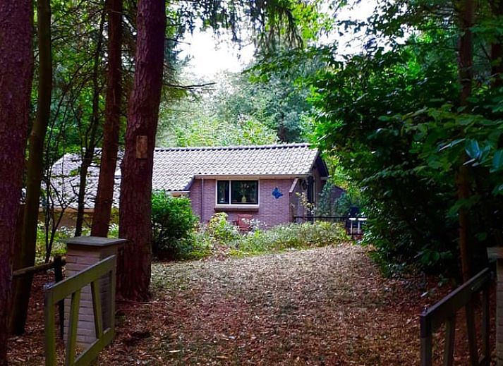 Unterkunft 180926 - Ferienhaus Noord Drenthe - Vakantiehuis in Norg