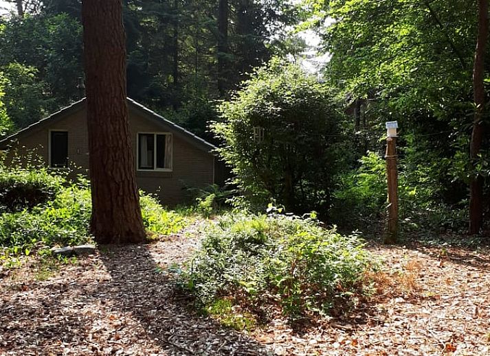 Unterkunft 180926 - Ferienhaus Noord Drenthe - Vakantiehuis in Norg