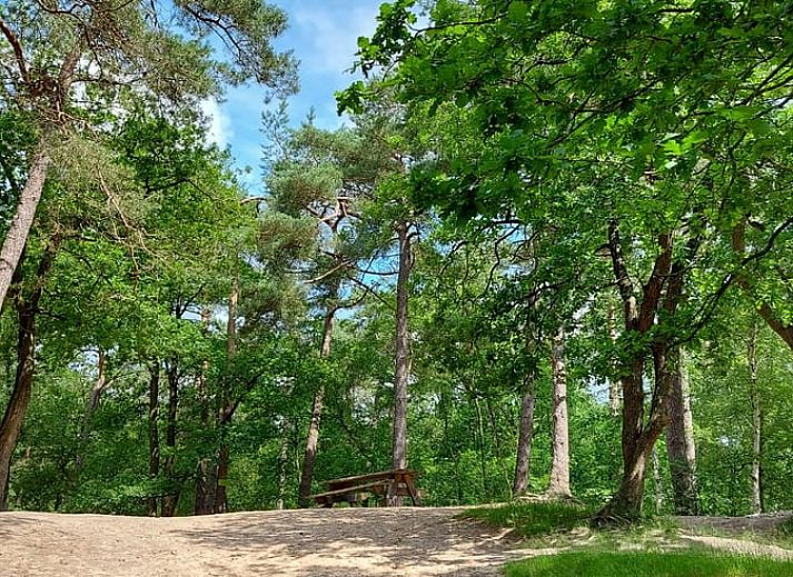 Unterkunft 180926 - Ferienhaus Noord Drenthe - Vakantiehuis in Norg