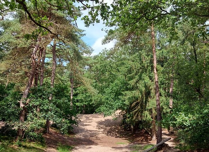 Unterkunft 180926 - Ferienhaus Noord Drenthe - Vakantiehuis in Norg