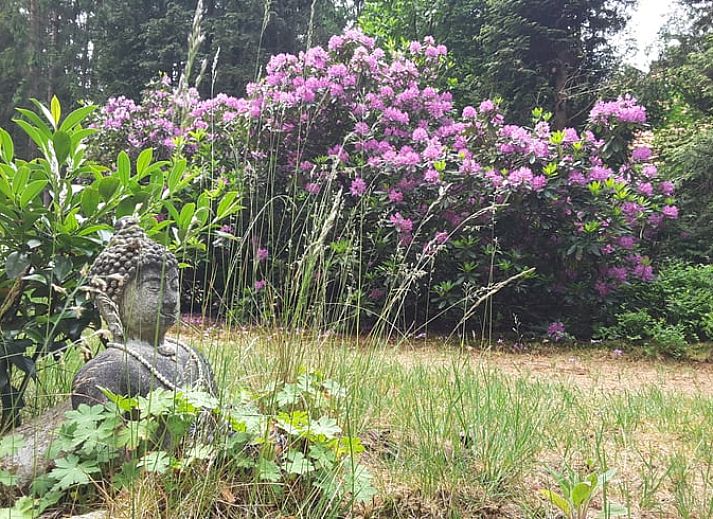 Gemuetlicher Innenbereich des Ferienhauses in Norg, Nord-Drenthe, mit gemuetlicher Kueche und Essbereich fuer einen entspannten Aufenthalt.