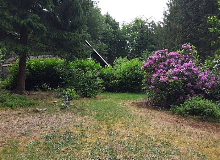 Gemuetlicher Innenbereich des Ferienhauses in Norg, Nord-Drenthe, mit gemuetlicher Kueche und Essbereich fuer einen entspannten Aufenthalt.