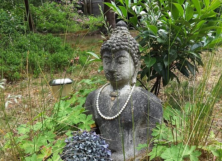 Gemuetlicher Innenbereich des Ferienhauses in Norg, Nord-Drenthe, mit gemuetlicher Kueche und Essbereich fuer einen entspannten Aufenthalt.