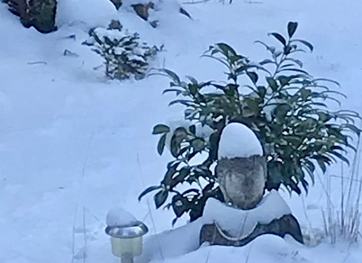 Gemuetlicher Essbereich im Ferienhaus in Norg, Nord-Drenthe. Geniessen Sie eine stimmungsvolle Mahlzeit in diesem charmanten Ferienhaus.