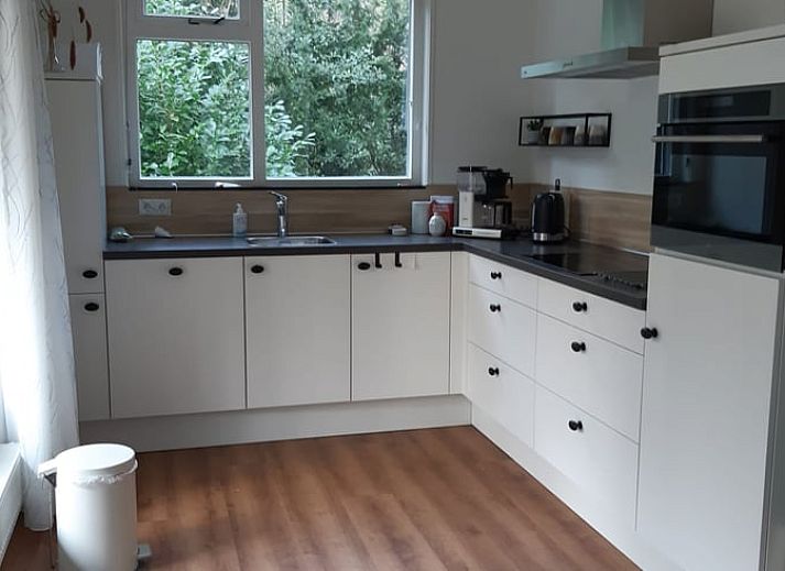 Ferienhaus in Norg, Nord-Drenthe, umgeben von gruener Natur und rustikalen Waeldern, ideal fuer einen entspannten Aufenthalt in Drenthe.