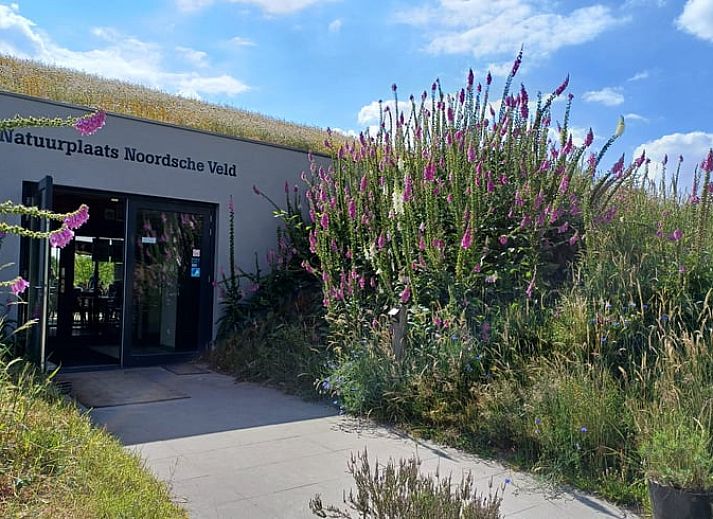 Gemuetliches Wohnzimmer des Ferienhauses in Norg, Nord-Drenthe, mit moderner Einrichtung und bequemer Sitzecke.