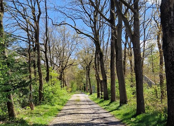 Gemuetlicher Innenbereich des Ferienhauses in Norg, Nord-Drenthe. Geniessen Sie ein helles Esszimmer mit Blick auf die umliegende Landschaft.