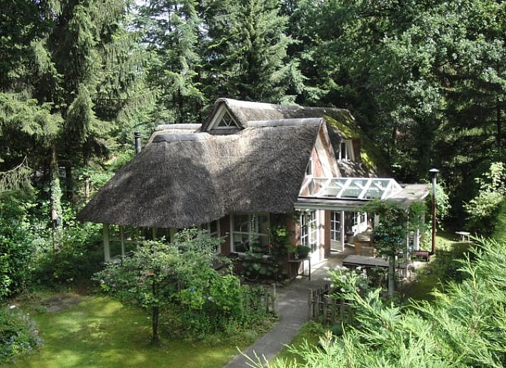 Verblijf 180946 • Vakantiewoning Noord Drenthe • Natuurhuisje in Norg
