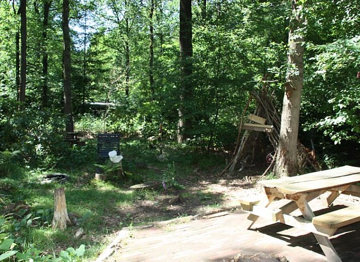 Das Ferienhaus in Norg liegt in den gruenen Waeldern von Nord-Drenthe und bietet eine ruhige Flucht in die Natur von Drenthe.