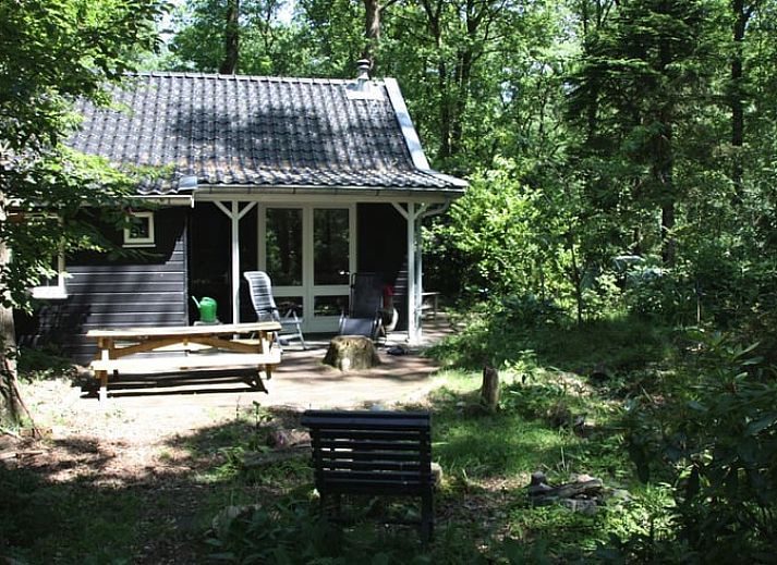 Das Ferienhaus in Norg liegt in den gruenen Waeldern von Nord-Drenthe und bietet eine ruhige Flucht in die Natur von Drenthe.