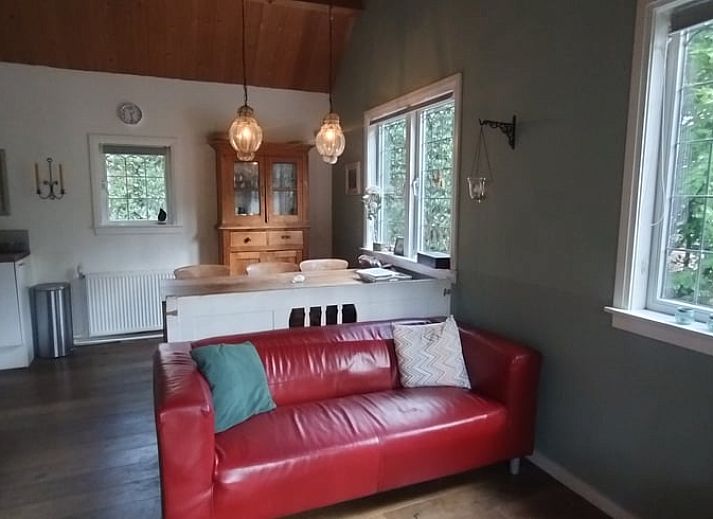 Geniessen Sie die ruhige, waldreiche Umgebung des Ferienhauses in Norg, Nord-Drenthe, mit einer rustikalen Terrasse und einem Picknicktisch.