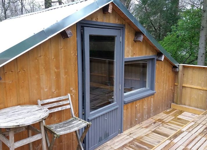 Gemuetliche Terrasse im Cottage in Norg, Ferienunterkunft in Drenthe, umgeben von Baeumen.