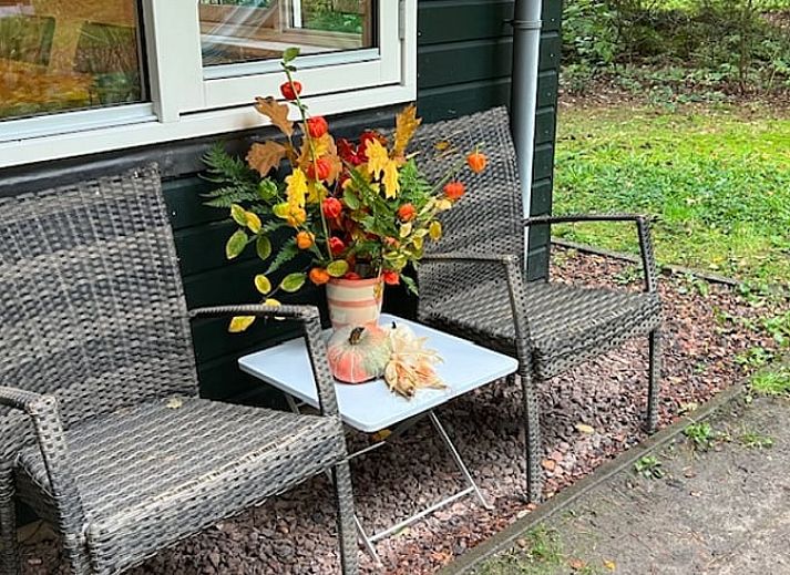 Guest house 180963 - Holiday property Noord Drenthe - Vakantiehuisje in Norg