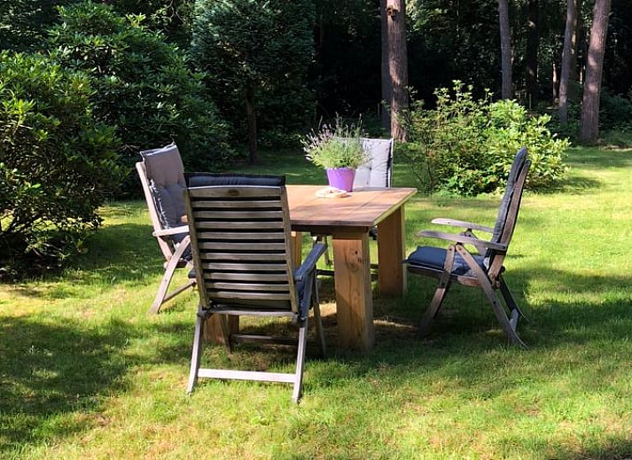 Charmantes Ferienhaus in Norg, gelegen in den Waeldern von Nord-Drenthe, Drenthe.