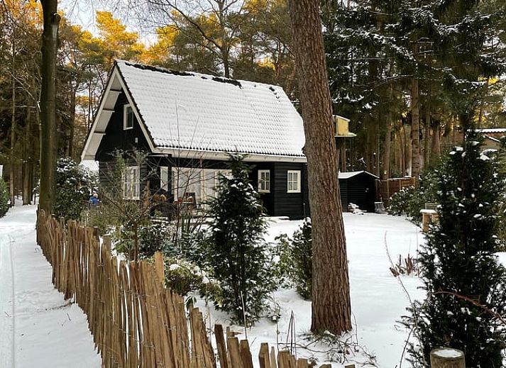 Grosszuegige gruene Umgebung im Cottage in Norg, ideal fuer Naturliebhaber in Nord-Drenthe, Drenthe.