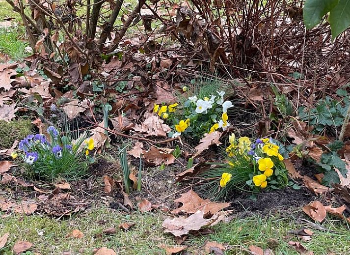 Moderne Kueche im Ferienhaus Cottage in Norg mit allen Annehmlichkeiten in Nord-Drenthe, Drenthe.