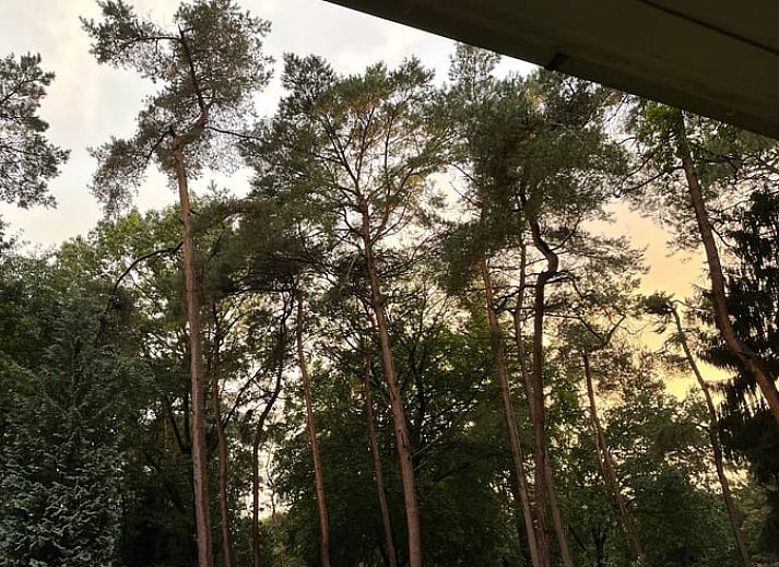 Gemuetliches Wohnzimmer im Cottage in Norg, ideal fuer Familientreffen in Nord-Drenthe, Drenthe.