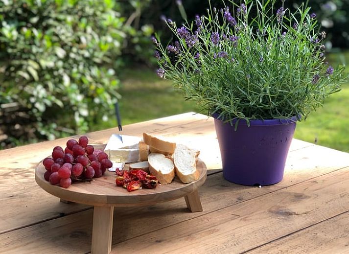 Gemuetliches Wohnzimmer im Cottage in Norg, ideal fuer Familientreffen in Nord-Drenthe, Drenthe.