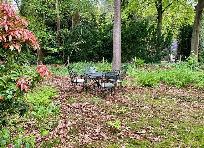 Gemuetliches Wohnzimmer im Cottage in Norg, ideal fuer Familientreffen in Nord-Drenthe, Drenthe.