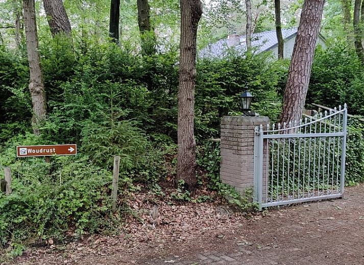 Veranda of Cottage in Norg, vacation home in Norg, North Drenthe, surrounded by green nature.