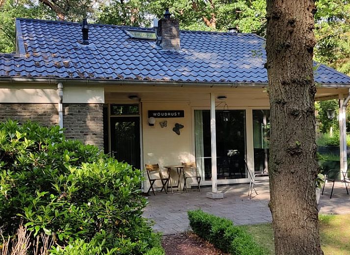 Wooded area of Cottage in Norg, cottage in Norg, North Drenthe, with access gate.
