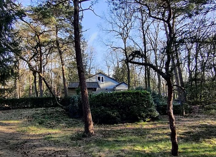 Wooded area of Cottage in Norg, cottage in Norg, North Drenthe, with access gate.