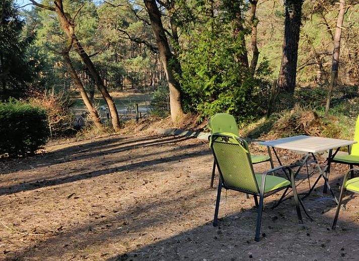 Wooded area of Cottage in Norg, cottage in Norg, North Drenthe, with access gate.