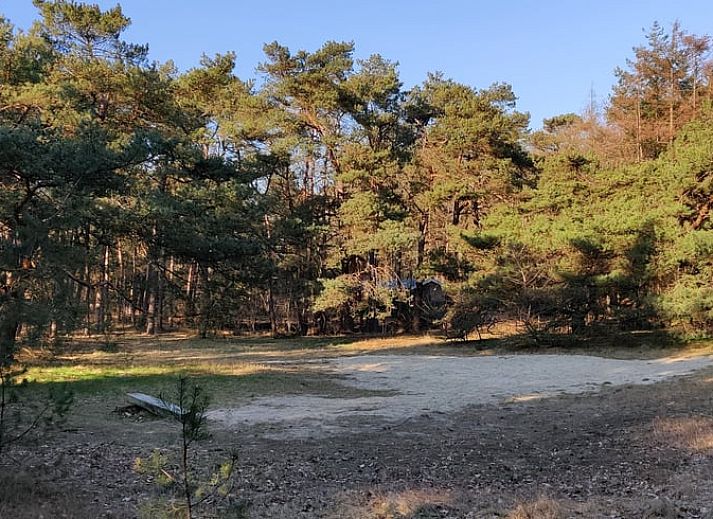 Entrance with gate to Cottage in Norg, vacation home in Norg, North Drenthe, surrounded by greenery.