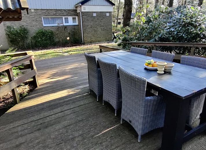 Entrance with gate to Cottage in Norg, vacation home in Norg, North Drenthe, surrounded by greenery.