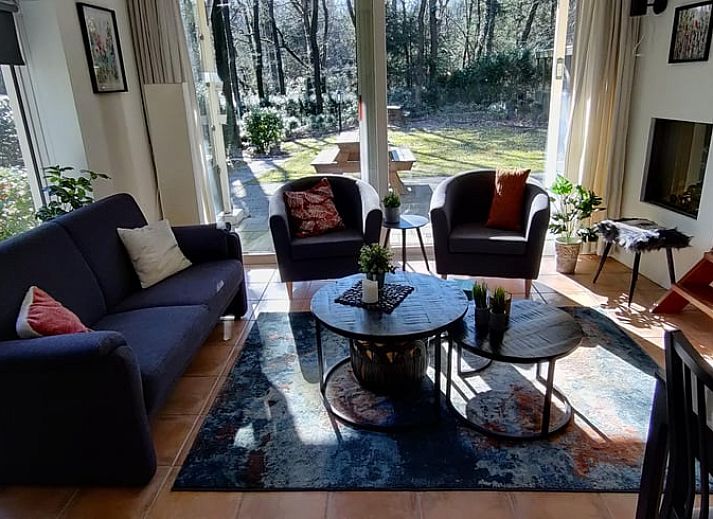 Quiet garden at Huisje in Norg, vacation home in Norg, North Drenthe, with flowers and bench.